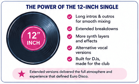 12 inch vinyl single dj culture euro disco